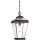 Quoizel - Lámpara colgante para exterior RAVINE 1xE27/60W/230V IP23 marrón