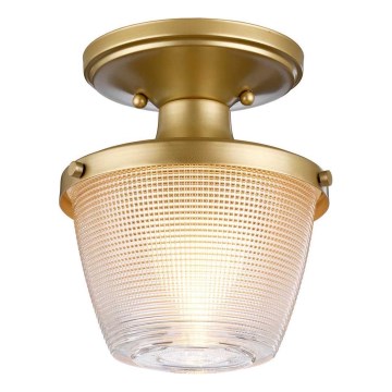 Quoizel - Plafón de baño DUBLIN 1xE27/40W/230V IP44 dorado