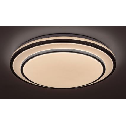 Rabalux - Plafón LED regulable LED/40W/230V 3000-6500K plateado + mando a distancia