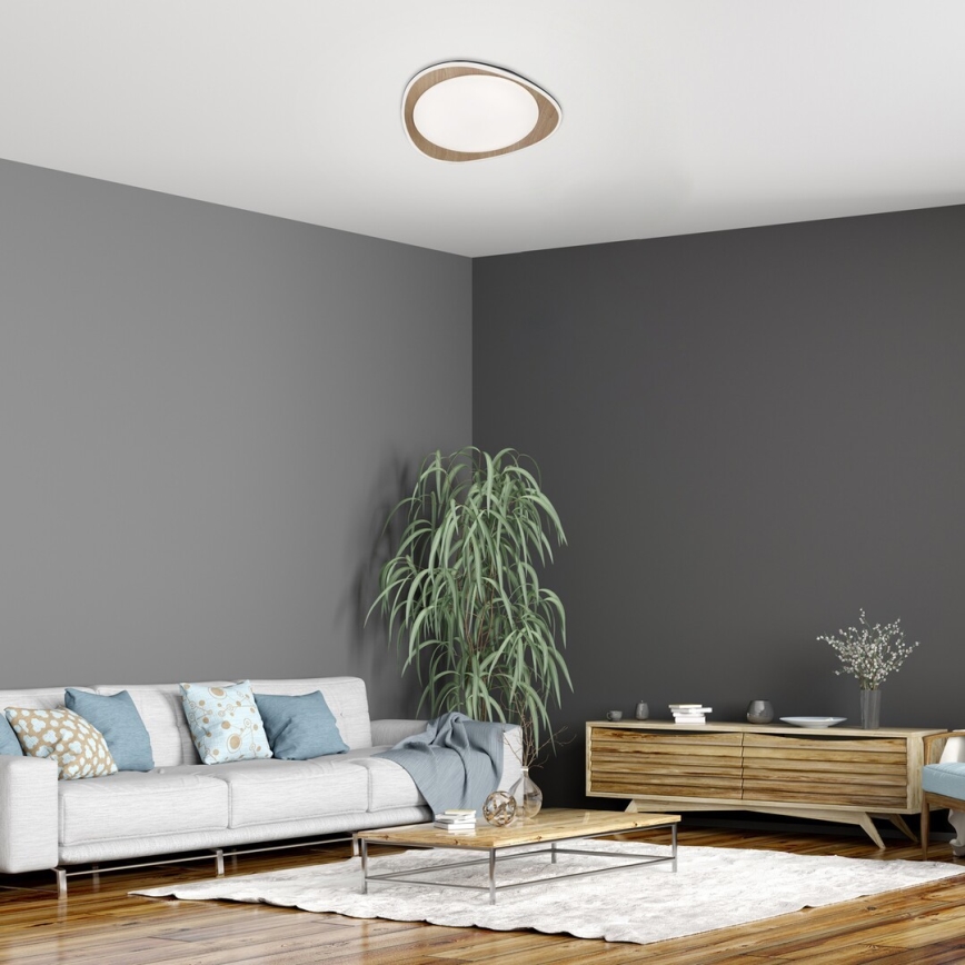 Rabalux - Plafón LED LED/24W/230V