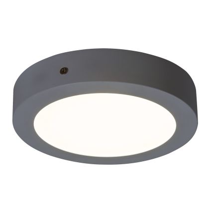 Rabalux - Plafón LED LED/12W/230V