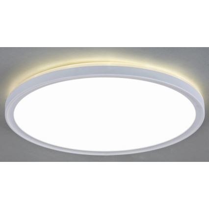 LED Plafón LED/18W/230V