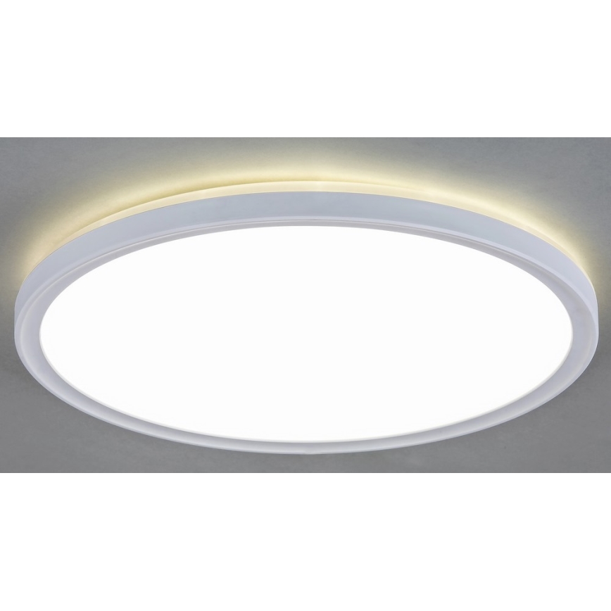 LED Plafón LED/18W/230V
