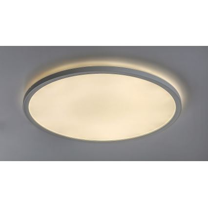 Rabalux 3428 - LED Plafón regulable PAVEL LED/22W/230V