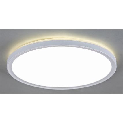 Rabalux 3428 - LED Plafón regulable PAVEL LED/22W/230V