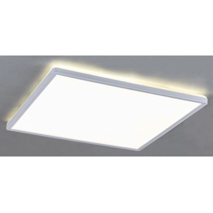 Rabalux 3429 - LED Plafón regulable PAVEL LED/18W/230V