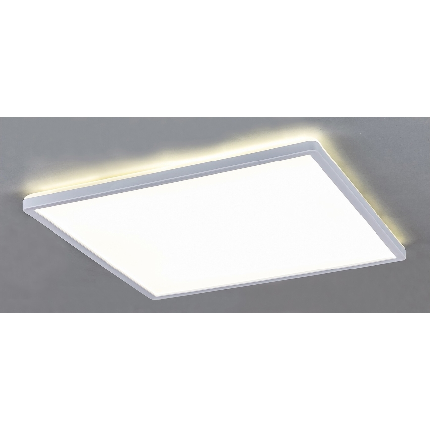 Rabalux - Plafón LED regulable LED/22W/230V