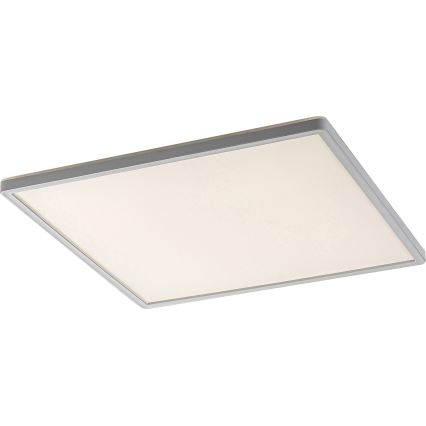 Rabalux - Plafón LED regulable LED/22W/230V