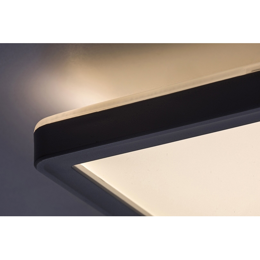Rabalux - Plafón LED regulable LED/22W/230V