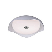 Rabalux 4619 - Plafón LED regulable ROSIE 1xLED/18W/230V