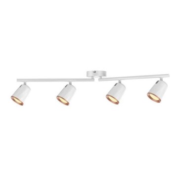 Rabalux 5048 - Foco LED SOLANGE 4xLED/6W/230V