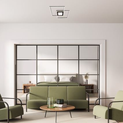 Rabalux - Lámpara de techo LED LED/40W/230V