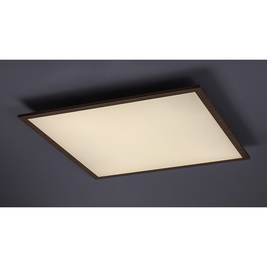 Rabalux - Panel LED fijo LED/40W/230V 4000K