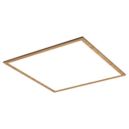 Rabalux - Panel LED fijo LED/40W/230V 4000K