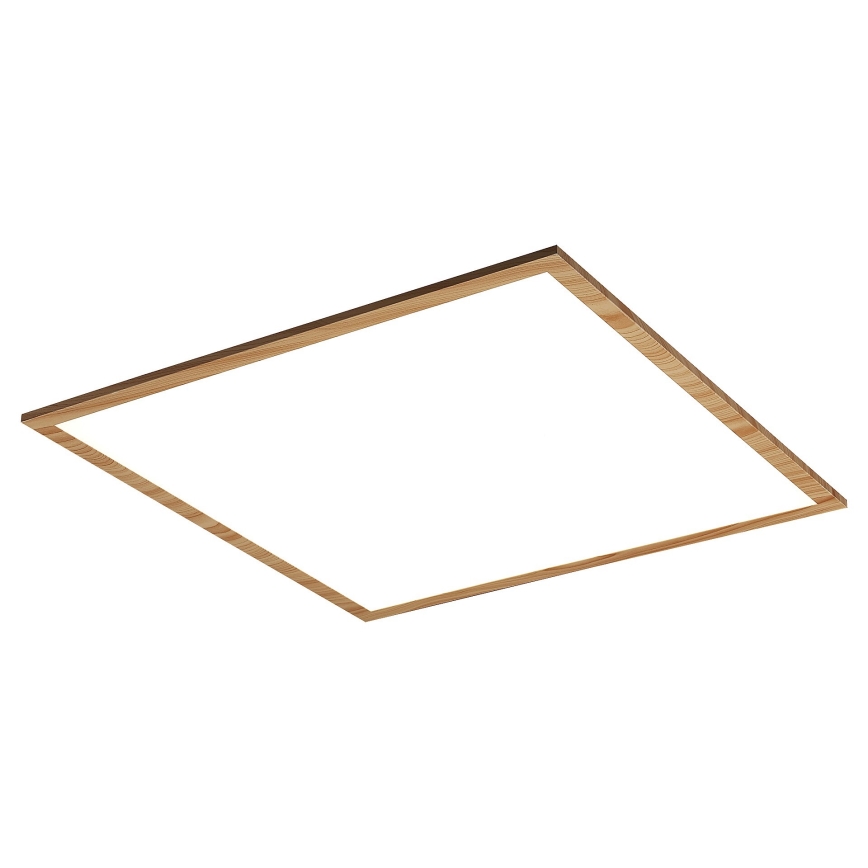 Rabalux - Panel LED fijo LED/40W/230V 4000K