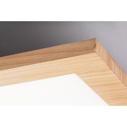 Rabalux - Panel LED fijo LED/40W/230V 4000K