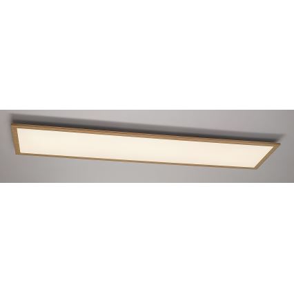 Rabalux - Panel LED fijo LED/40W/230V 4000K