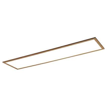 Rabalux - Panel LED fijo LED/40W/230V 4000K