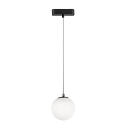 Rabalux - Lámpara LED colgante para sistema de raíles monofásico LED/5W/230V 4000K negro