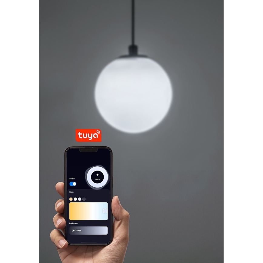 Rabalux - Lámpara de araña LED regulable para sistema de raíles monofásico LED/5W/24V 2700-5500K Wi-Fi Tuya negro