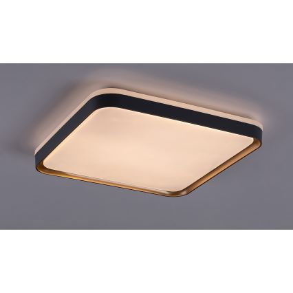 Rabalux - Plafón LED LED/26W/230V 3000K