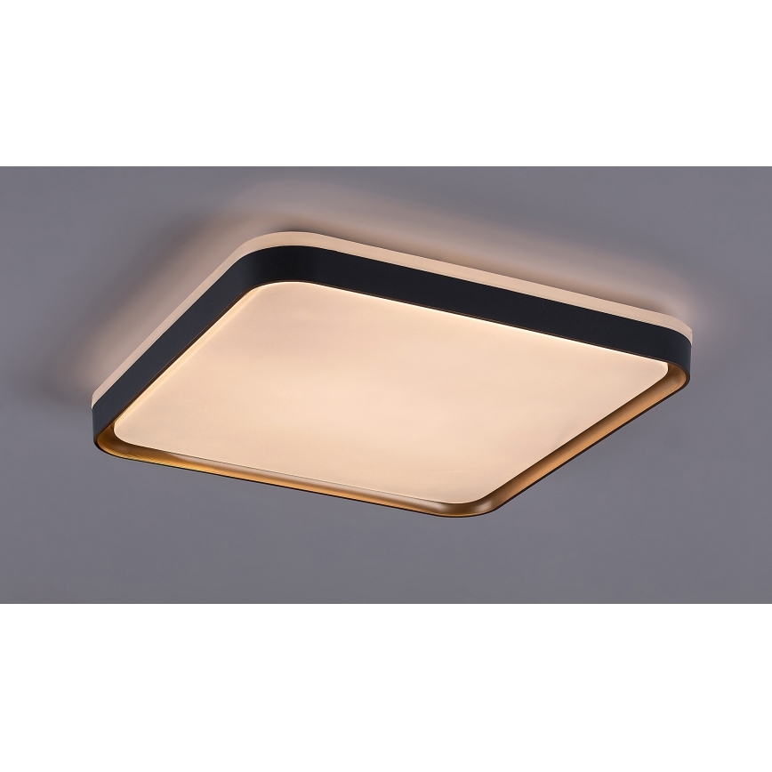 Rabalux - Plafón LED LED/26W/230V 3000K