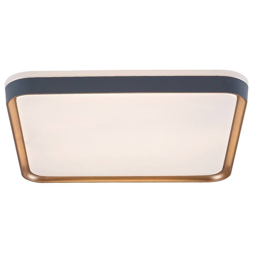 Rabalux - Plafón LED LED/26W/230V 3000K