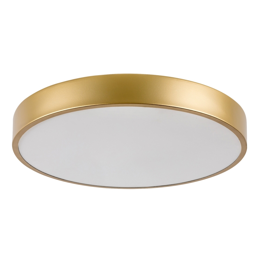 Rabalux - Plafón LED LED/36W/230V 3000K