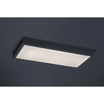 Rabalux - Panel LED fijo LED/24W/230V 4000K 60x30 cm