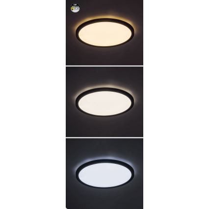 Rabalux - Plafón LED LED/24W/230V 3000/4000/6000K diá. 29 cm negro