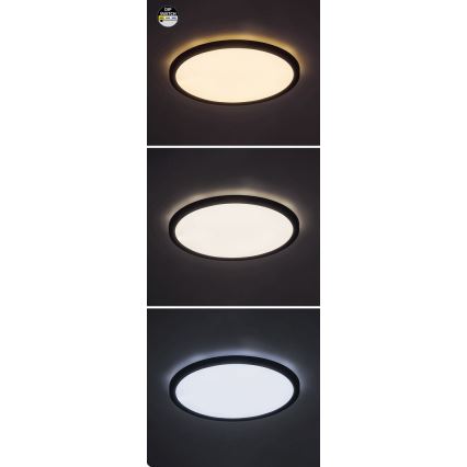 Rabalux - Plafón LED LED/36W/230V 3000/4000/6000K diá. 50 cm negro