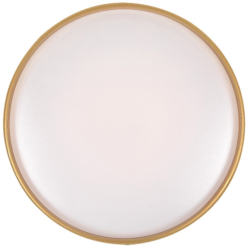 Rabalux - Plafón LED regulable LED/24W/230V 3000-6500K + control remoto