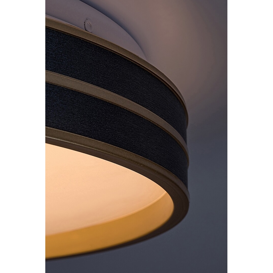 Rabalux - Plafón LED regulable LED/24W/230V 3000-6500K + control remoto