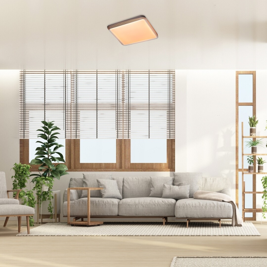 Rabalux - Plafón LED LED/40W/230V 3000K