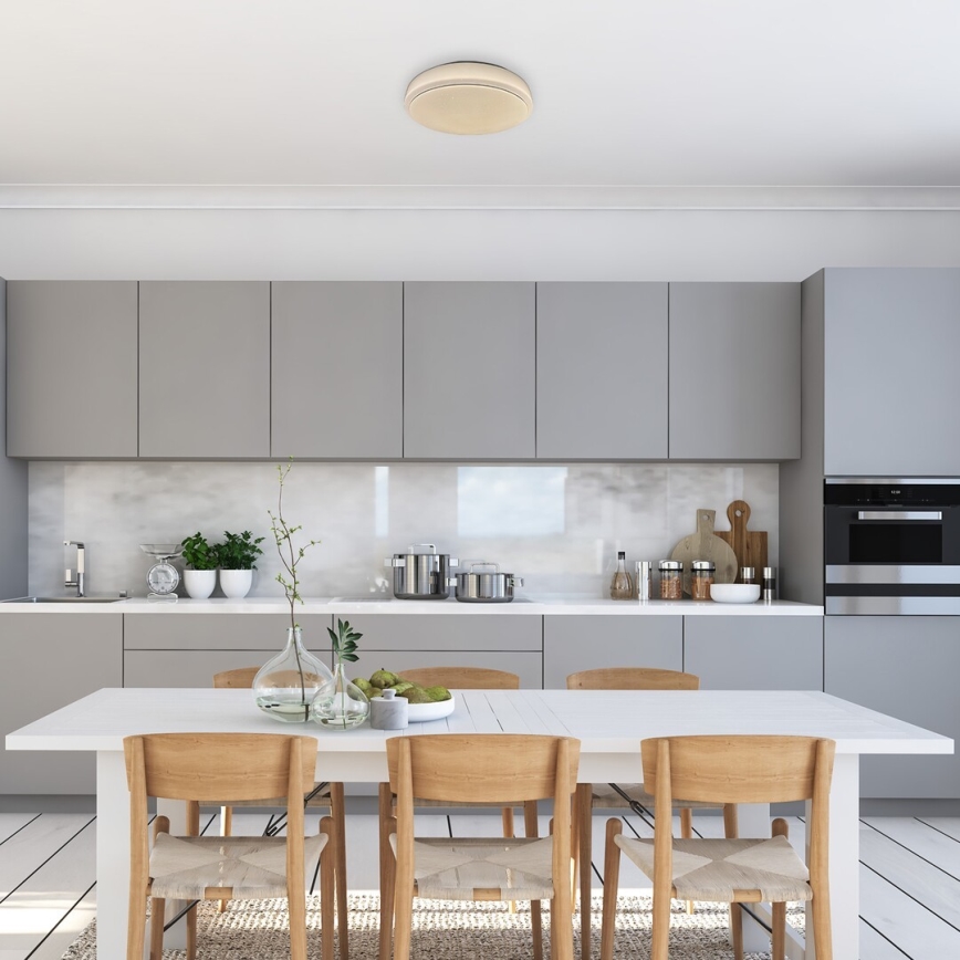 Rabalux - Plafón LED LED/18W/230V 3000K diá. 33 cm