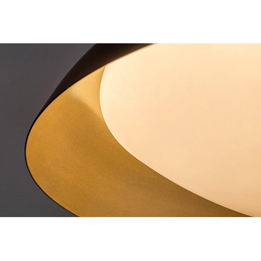 Rabalux - Plafón LED LED/24W/230V 3000K diá. 40 cm