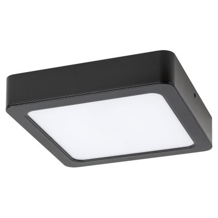 Rabalux - Plafón LED LED/24W/230V 4000K 22x22 cm negro