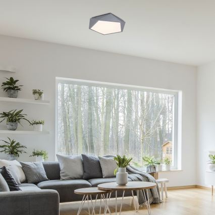 Rabalux - Plafón LED LED/30W/230V 3000K