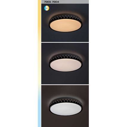 Rabalux - Plafón LED regulable LED/48W/230V 3000-6500K + control remoto