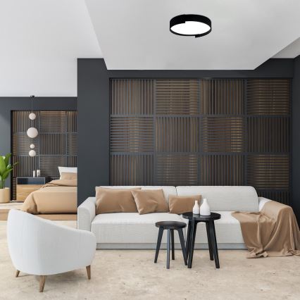 Rabalux - Plafón LED regulable LED/24W/230V 3000-6500K + control remoto