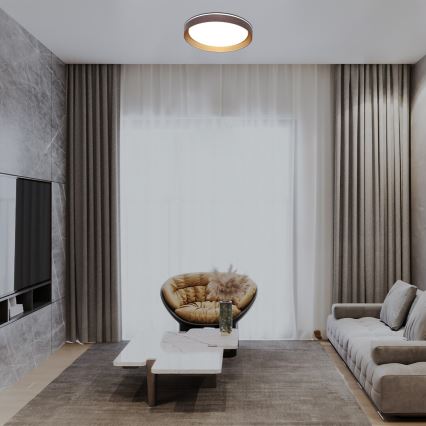 Rabalux - Plafón LED regulable LED/48W/230V 3000-6500K + control remoto