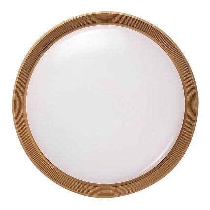 Rabalux - Plafón LED regulable LED/48W/230V 3000-6500K + control remoto