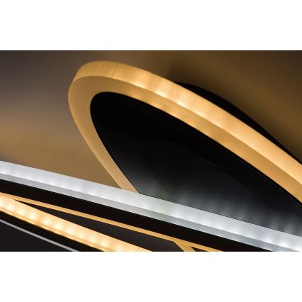 Rabalux - Plafón LED regulable LED/70W/230V 3000/4000/6000K negro + control remoto