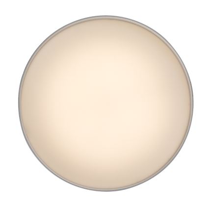 Rabalux - Plafón LED LED/24W/230V 3000K blanco
