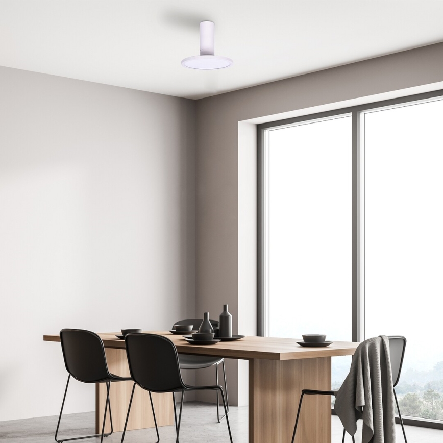 Rabalux - Plafón LED LED/20W/230V 3000K blanco