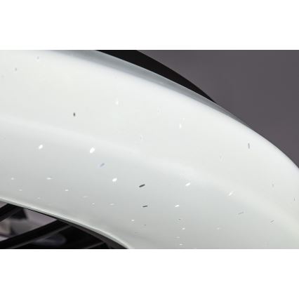 Rabalux - LED Plafón regulable con ventilador LED/48W/230V 3000-6500K + control remoto