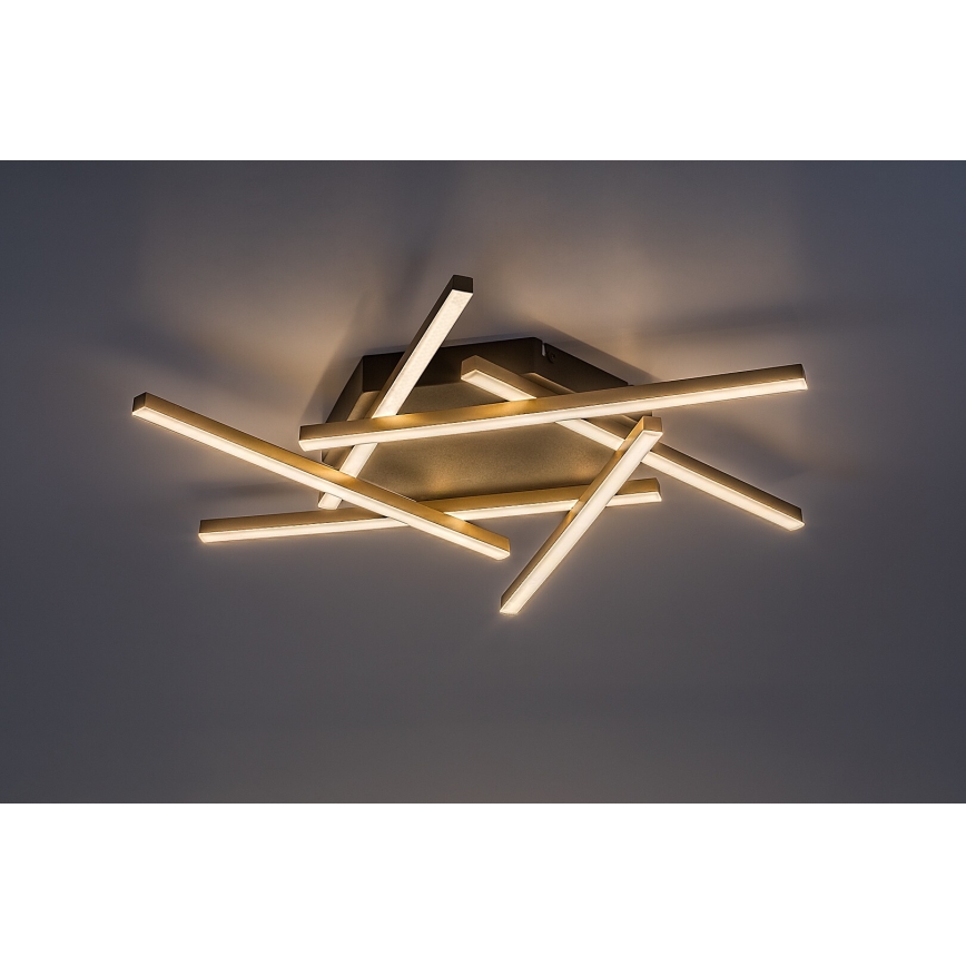 Rabalux - Lámpara de techo LED LED/40W/230V 3000K