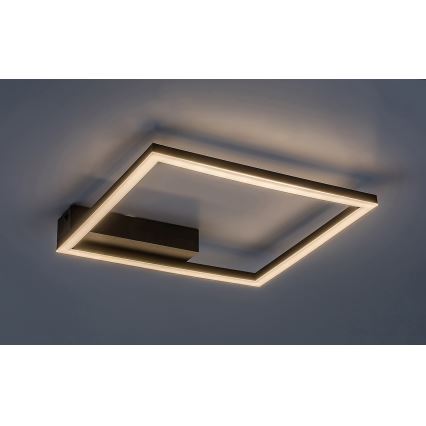 Rabalux - Plafón LED LED/24W/230V 3000K