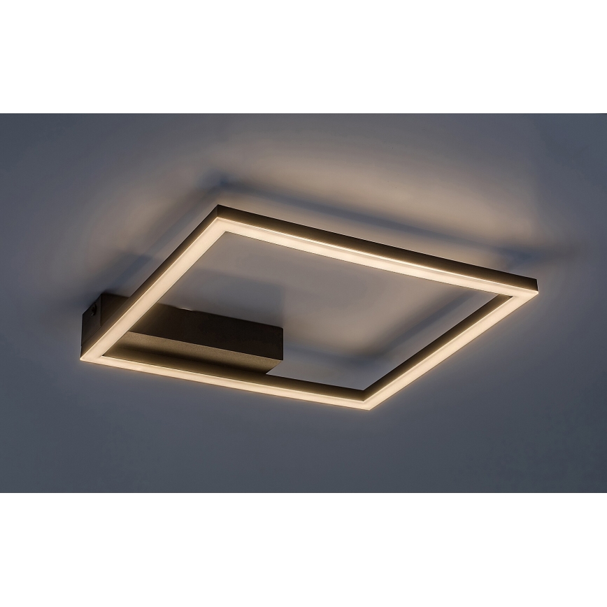 Rabalux - Plafón LED LED/24W/230V 3000K