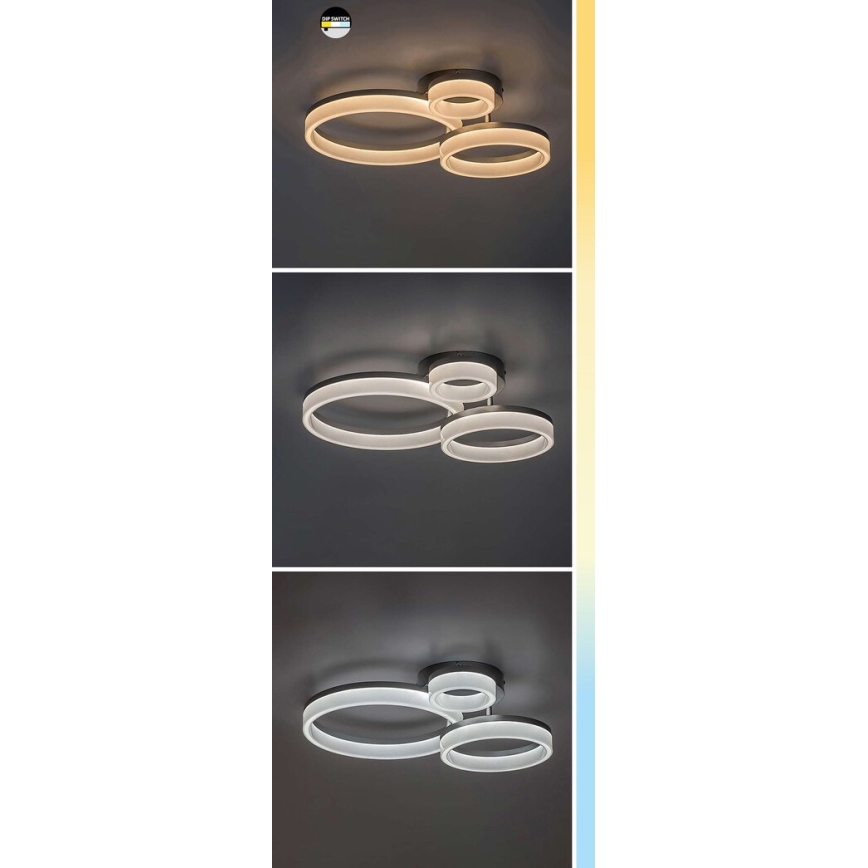 Rabalux - Plafón LED LED/24W/230V 3000/4000/6500K cromo mate